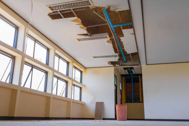 Best Basement water damage restoration  in Minonk, IL