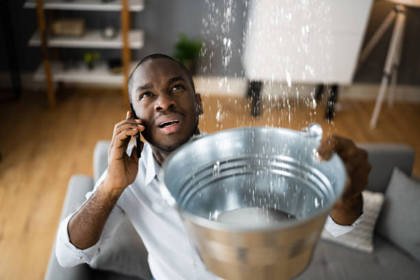 Best 24/7 water damage repair  in Minonk, IL