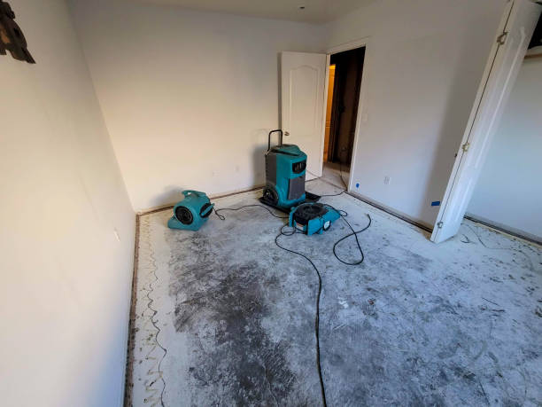 Best Emergency water extraction  in Minonk, IL