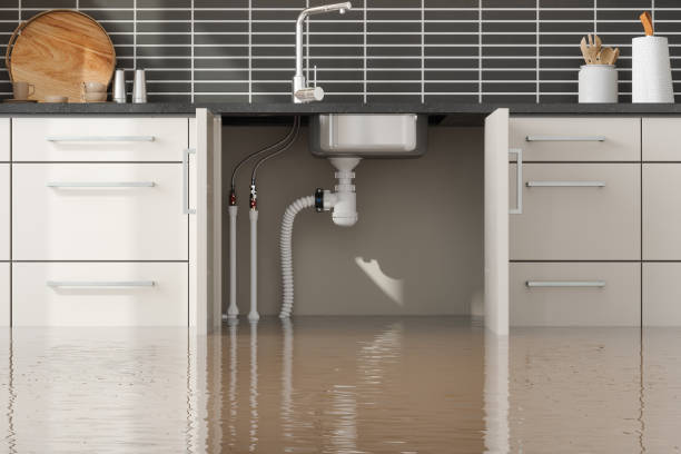 Trusted Minonk, IL Water damage restoration Experts