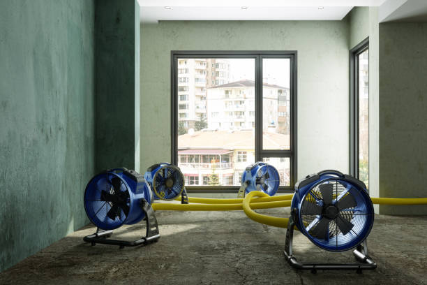 Best 24-hour water damage restoration  in Minonk, IL